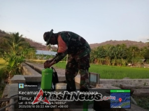 Babinsa Lakukan Penyemprotan Hama dan Pupuk Daun di Sawah Pakilai Barat