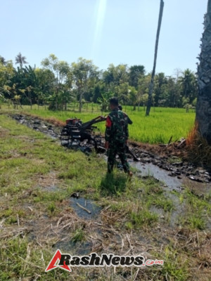 Wujud Kepedulian, Babinsa Kodim 1601/Sumba Timur Turun Langsung Bantu Petani