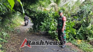 Pohon tumbang melintang di jalan, Babinsa 1623-01/Karangasem bersama BPBD bergerak cepat laksanakan penanganan.