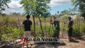 Babinsa Koramil 03/BTT Bantu Warga Mbali Lendeki Perbaiki Pagar Lahan Pertanian