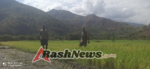 Dapatkan respons yang lebih pintar, unggah file dan gambar, dan lainnya.