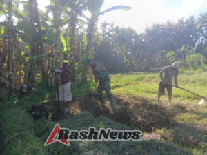 Gotong Royong Petani Tominuku Didampingi Babinsa Berjalan Tertib dan Aman