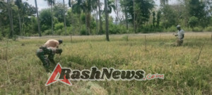 TNI Bersama Rakyat: Babinsa Kambera Ikut Sukseskan Program Ketahanan Pangan Nasional