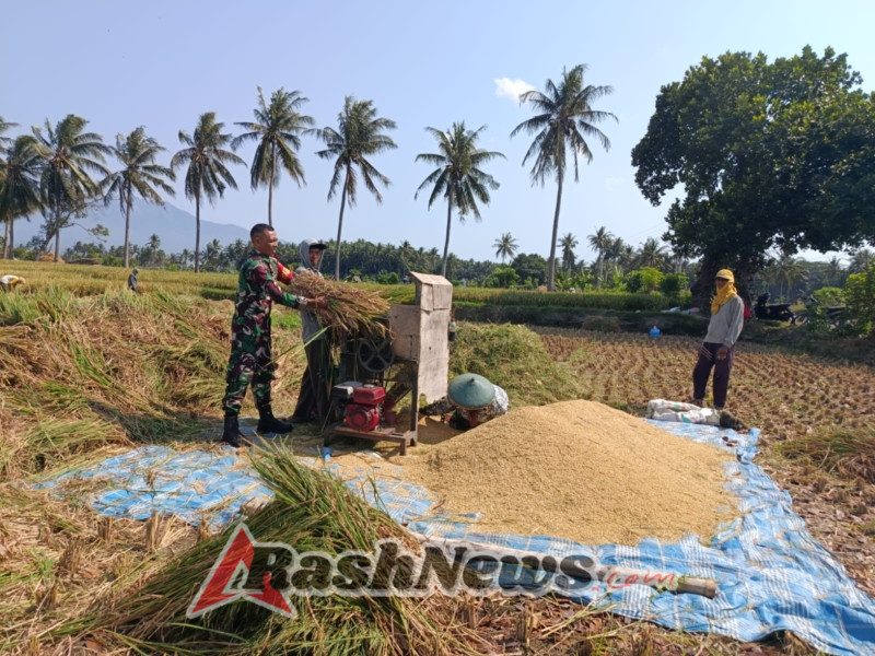 ‎Babinsa Koramil 1615-02/Pringgabaya Beri Semangat Petani Kelompok Tani “Pada Kangen”