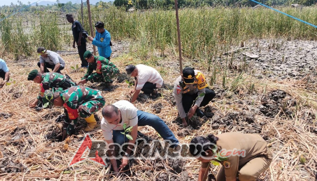 Penanaman Seribu Pohon Mangrove Pererat Kebersamaan Di Perbatasan