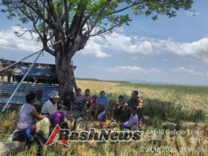 Babinsa Koramil Camplong Motivasi Warga Kembangkan Lahan Sawah