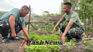 Pos Dafala Yonarmed 12 Kostrad Manfaatkan Lahan Kosong untuk Program Ketahanan Pangan