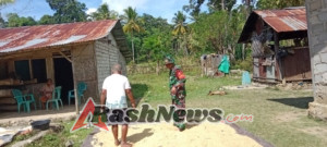 Wujud Kepedulian TNI, Babinsa Tabundung Bantu Petani Jemur Hasil Panen