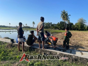 Sinergi TNI dan Petani, Babinsa Rindi Umalulu Dukung Pengolahan Lahan Menggunakan Traktor