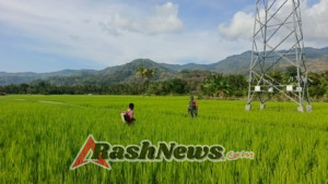 Babinsa Kodim 1602/Ende Bantu Petani dan Awasi Keamanan Wilayah Secara Terpadu