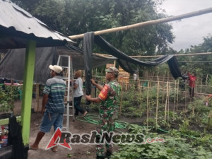 Kolaborasi Babinsa Koramil 1628-03/Seteluk dan Warga Air Suning Perkuat Ketahanan Pangan Desa