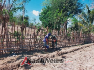 Sertu Jakson Paulus Tuka Dampingi Petani Siapkan Musim Tanam