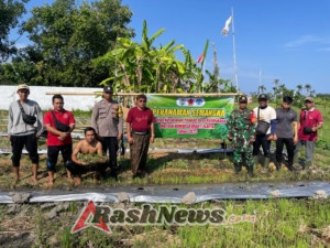 Babinsa dan Bhabinkamtibmas Dukung Ketahanan Pangan Lewat Penanaman Semangka di Kalibukbuk