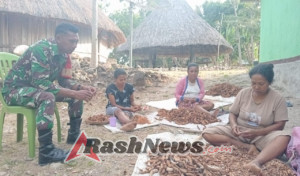 Babinsa dan Petani Desa Nansean Timur Saling Berbagi Tawa di Tengah Hasil Pane