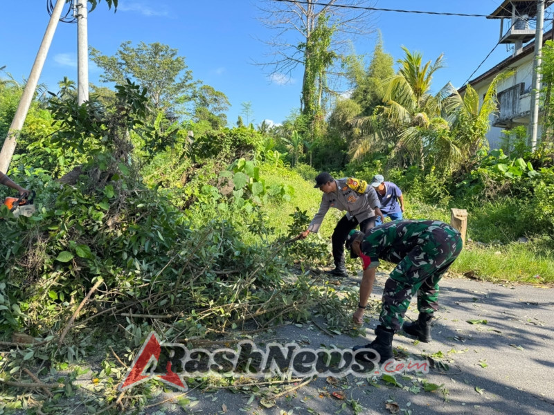 Bhabinkamtibmas Saba Gotong Royong Tangani Pohon Tumbang di Jalan Menuju Pantai