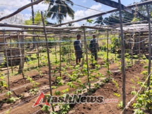 Babinsa Koramil 02/Walakaka Komsos dengan Petani Hortikultura di Laboya Bawah