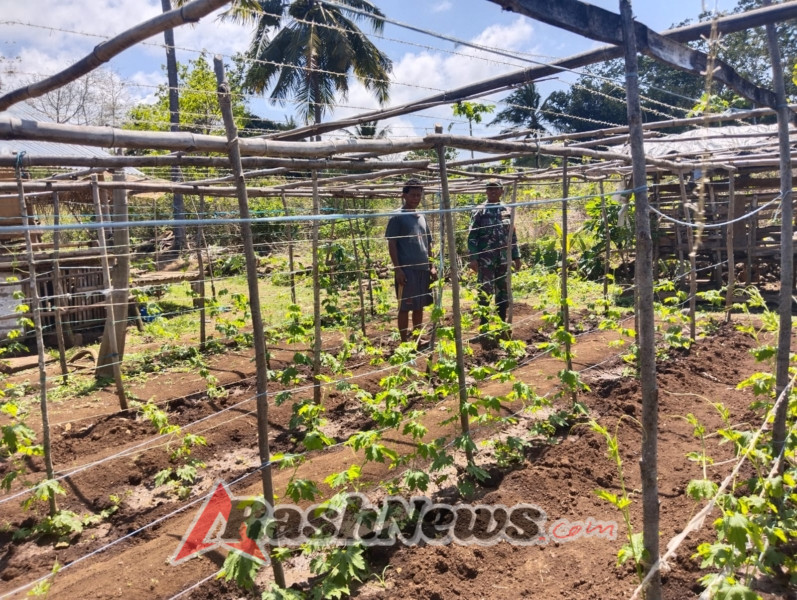 Babinsa Koramil 02/Walakaka Komsos dengan Petani Hortikultura di Laboya Bawah