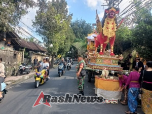 Danramil Ubud Apresiasi Kinerja Babinsa yang Sigap Kawal Upacara Ngaben Warga