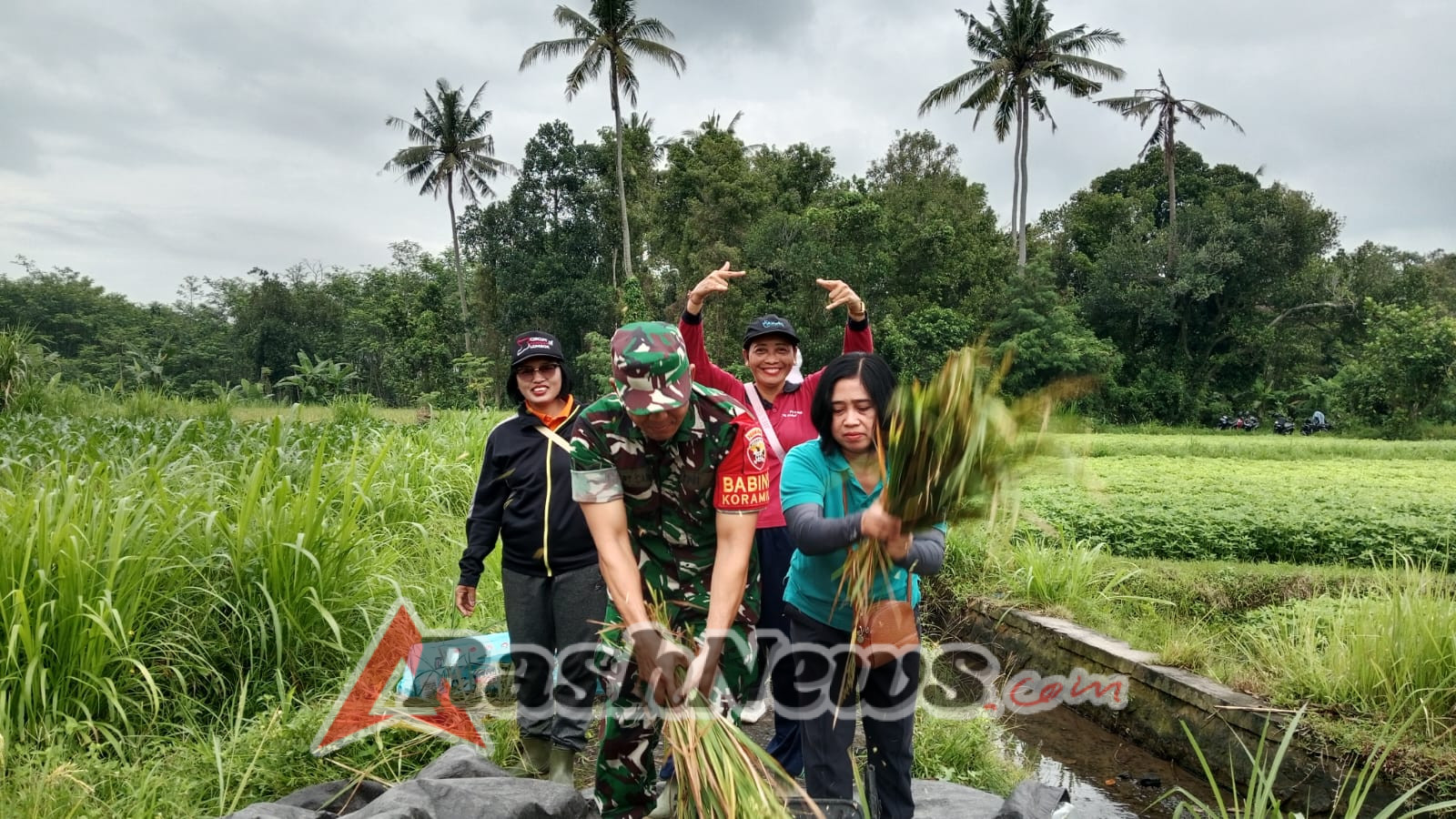 Sinergi TNI Dan Petani, Babinsa Koramil Banjarangkan Dampingi Pengubinan