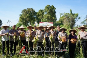 Panen Raya Jagung Kuartal III di Subak Jero Kuta, Polres Gianyar Dukung Program Ketahanan Pangan
