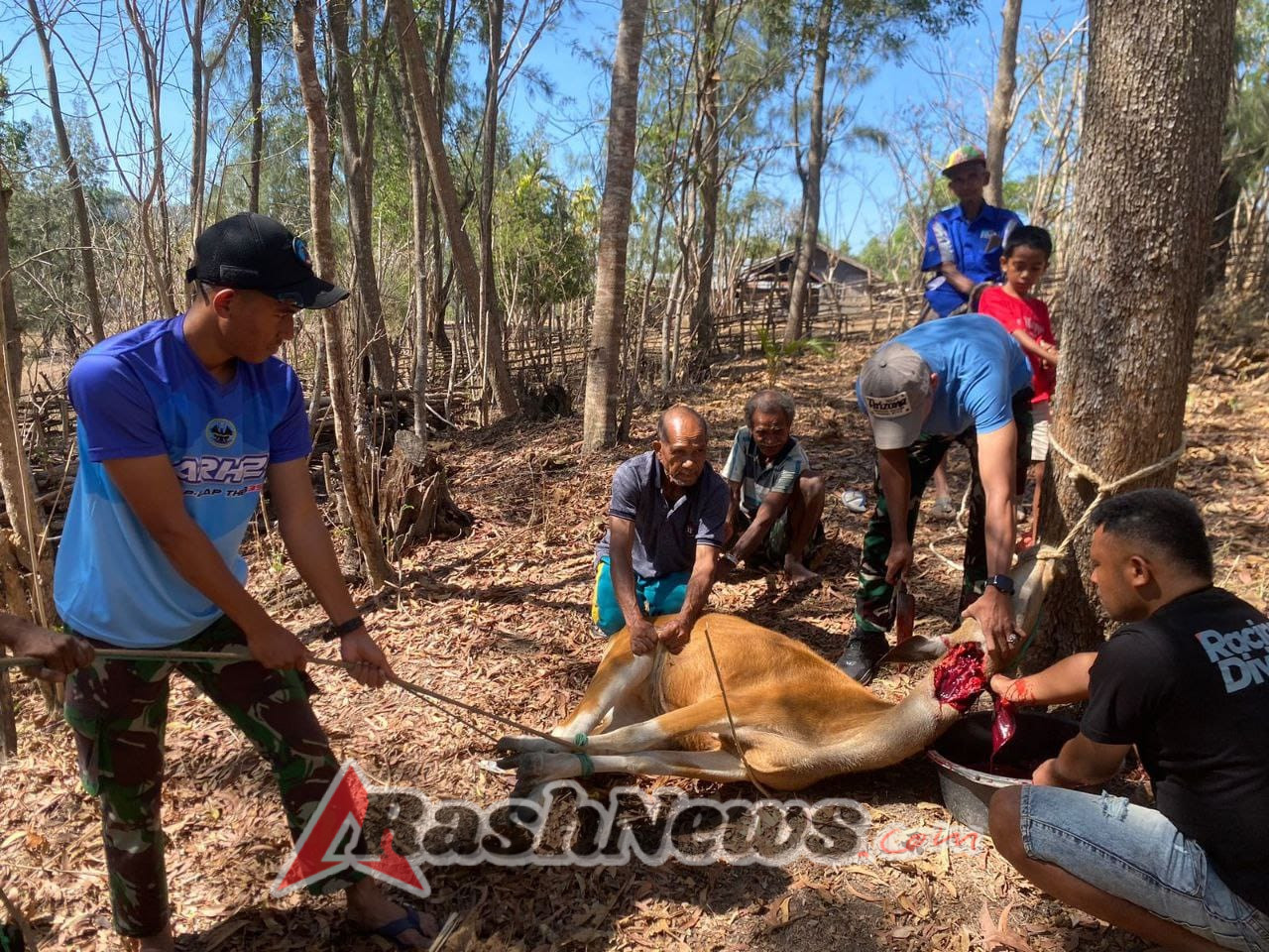 Program Unggulan Tenda Gratis dan Membantu Pemotongan Hewan oleh Pos Haumeniana