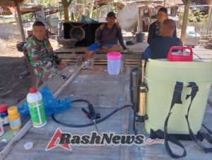 Perkuat Sinergi dengan Masyarakat, Babinsa Maurole Laksanakan Komsos di Kotabaru