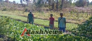 Babinsa TTU beri wawasan Petani, Rawat Tanaman Sayur