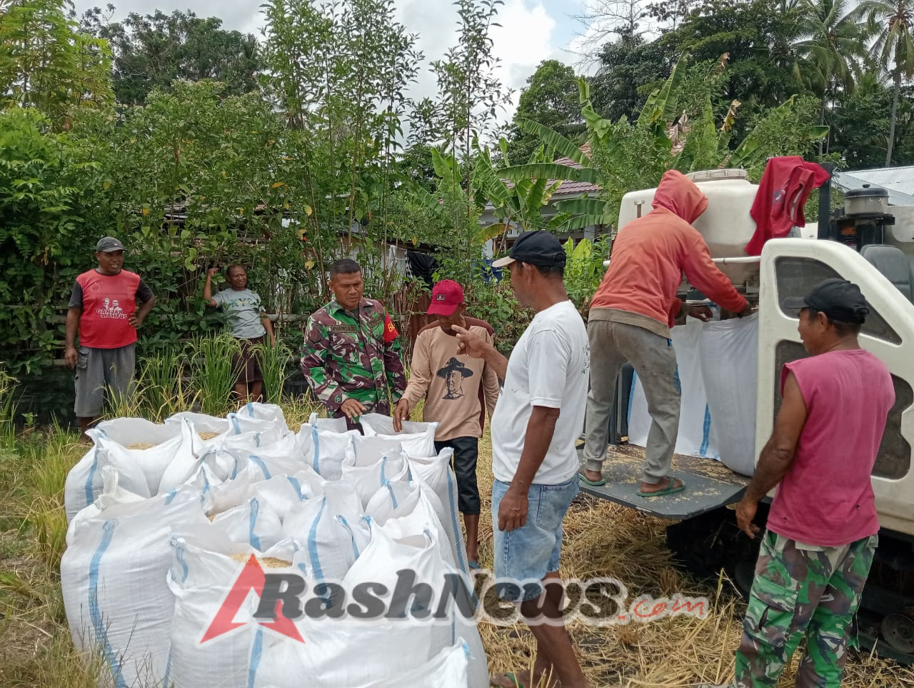 Babinsa Kodim 1602/Ende Himbau Petani Salurkan Hasil Panen ke Bulog Saat Panen Raya