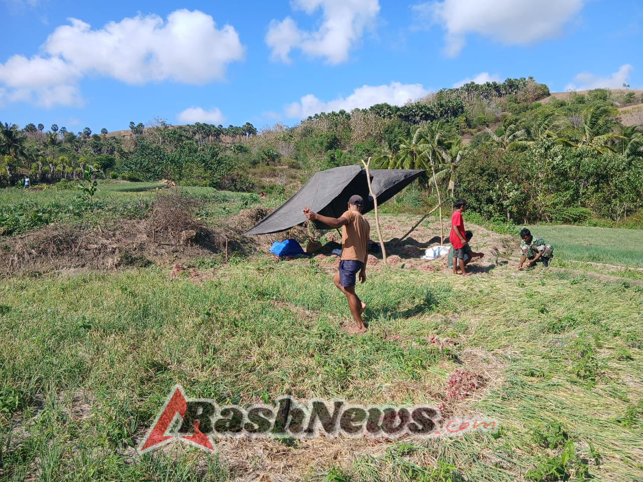 Babinsa Desa Raenyale Ajak Warga Jaga Ketahanan Pangan Lokal