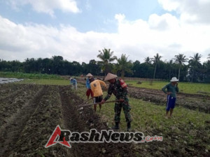 ‎Melalui Komsos, Babinsa Sikur Barat Bangun Sinergi Wujudkan Desa Bersih dan Swasembada Pangan