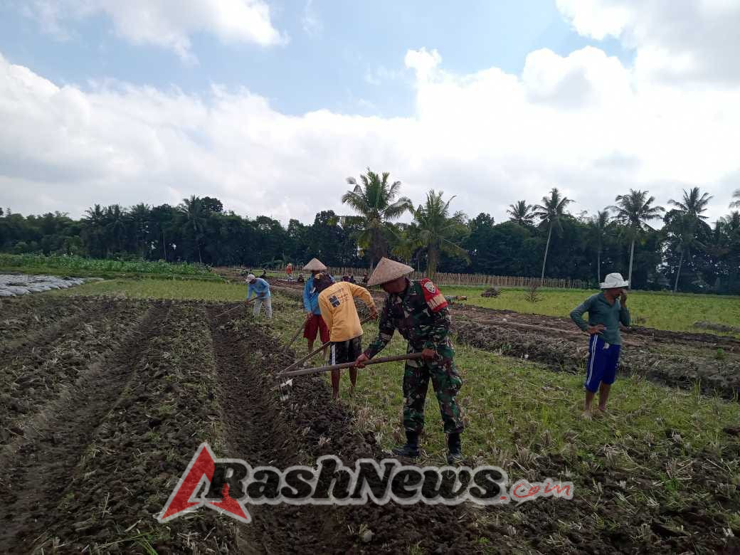 ‎Melalui Komsos, Babinsa Sikur Barat Bangun Sinergi Wujudkan Desa Bersih dan Swasembada Pangan