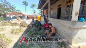 Tingkatkan Kesejahteraan Petani, Anggota Satgaster Pos Makir Bantu Petik Hasil Panen Kacang Tanah