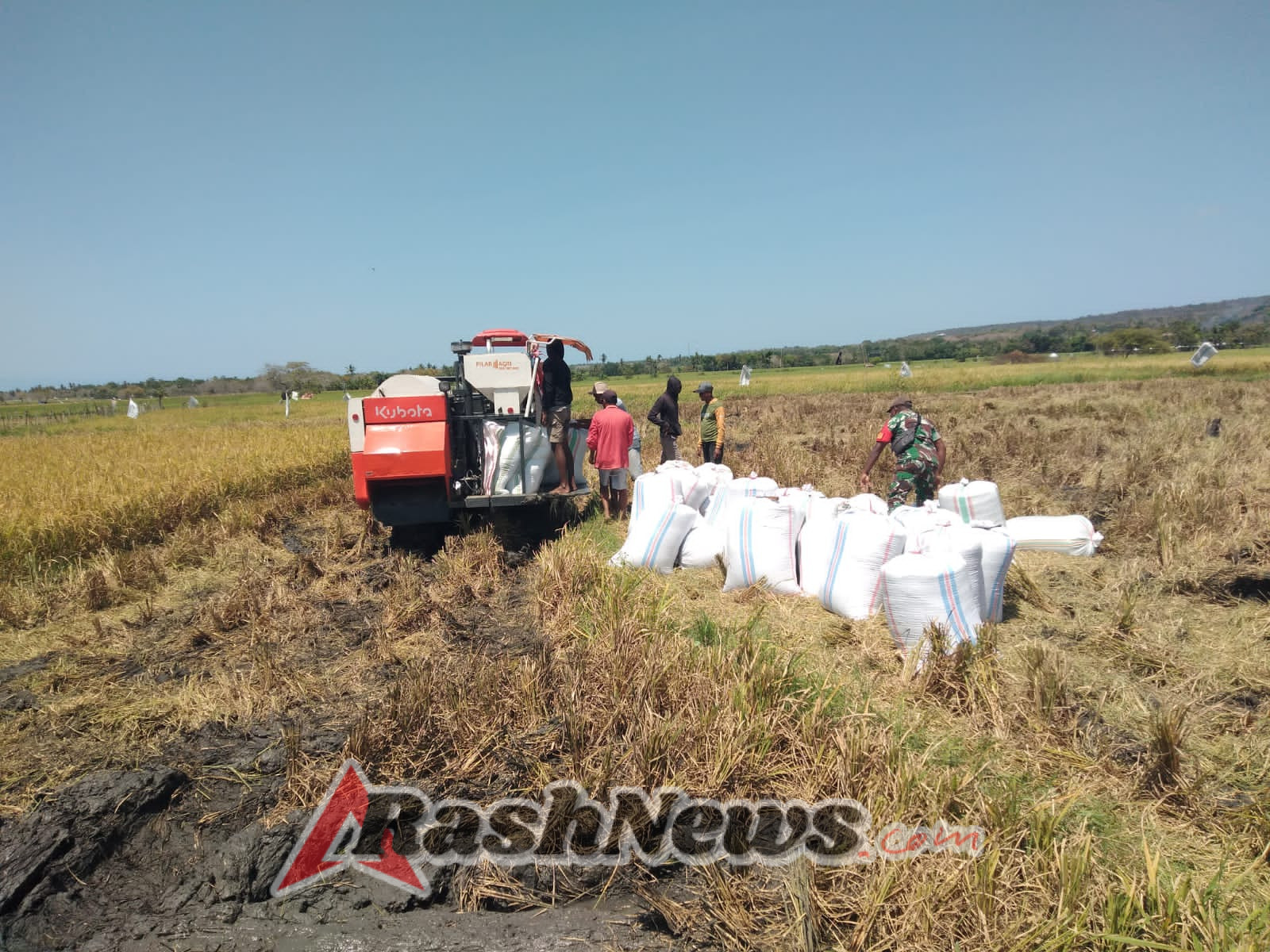 Sertu Yohanes Saekoko: Pendampingan Babinsa Wujud Kepedulian TNI ke Petani