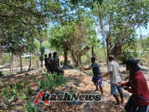 TNI dan Warga Desa Netenaen Kompak dalam Kegiatan Karya Bakti Pemotongan Pohon Tuak