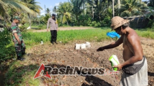 Babinsa Desa Bebalang Turun ke Sawah, Bantu Petani Sukseskan Program P2B di Wilayah Kodim 1626/Bangli