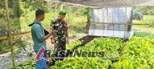 Tingkatkan Sinergitas, Babinsa Kodim 1602/Ende Ajak Warga Dukung Program Pertanian Berkelanjutan