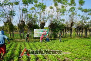 Babinsa Koramil 1628-01/Taliwang Dorong Produktivitas KWT Mitra Tani Lewat Pembinaan Pertanian