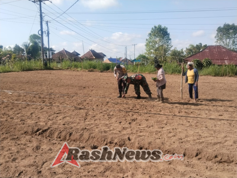 Tingkatkan Sinergi dengan Warga, Babinsa dan Bhabinkamtibmas Sulahan Gelar Komunikasi Sosial Bersama Petani Jagung