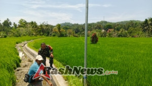 Upaya tingkatkan produksi pertanian, Babinsa Desa Sibetan monitoring pengerjaan saluran irigasi.