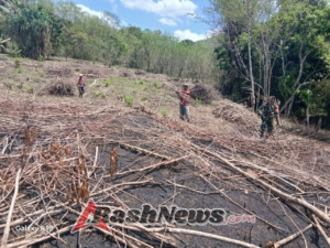 Babinsa Koramil 1601-04 Tabundung Galang Gotong Royong Bersihkan Lahan