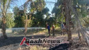 Babinsa 1623-08/Kubu ikut padamkan api kebakaran lahan.