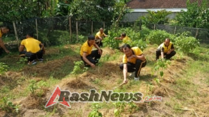 Kapolsek Marga Bersama Anggota  Perawatan Tanaman Cabe Dan Terong