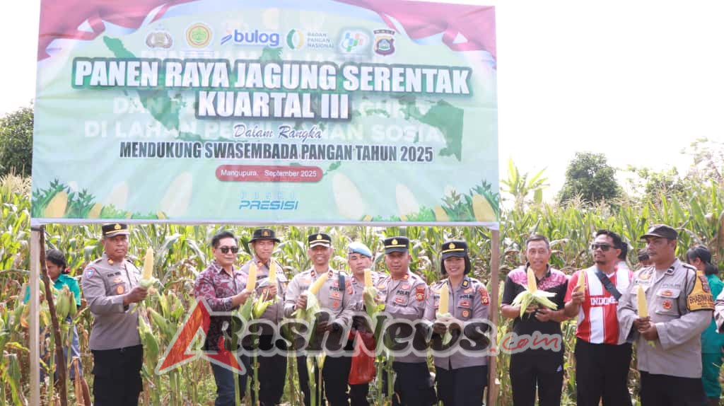 Panen Jagung Kwartal III di Petang, Kolaborasi Polisi dan Siswa Hasilkan Ratusan Kilo Jagung