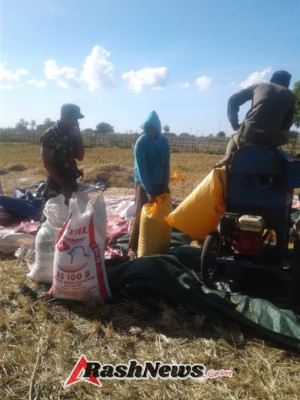 Babinsa Lobalain Ajak Petani Siapkan Lahan Menjelang Musim Tanam Baru