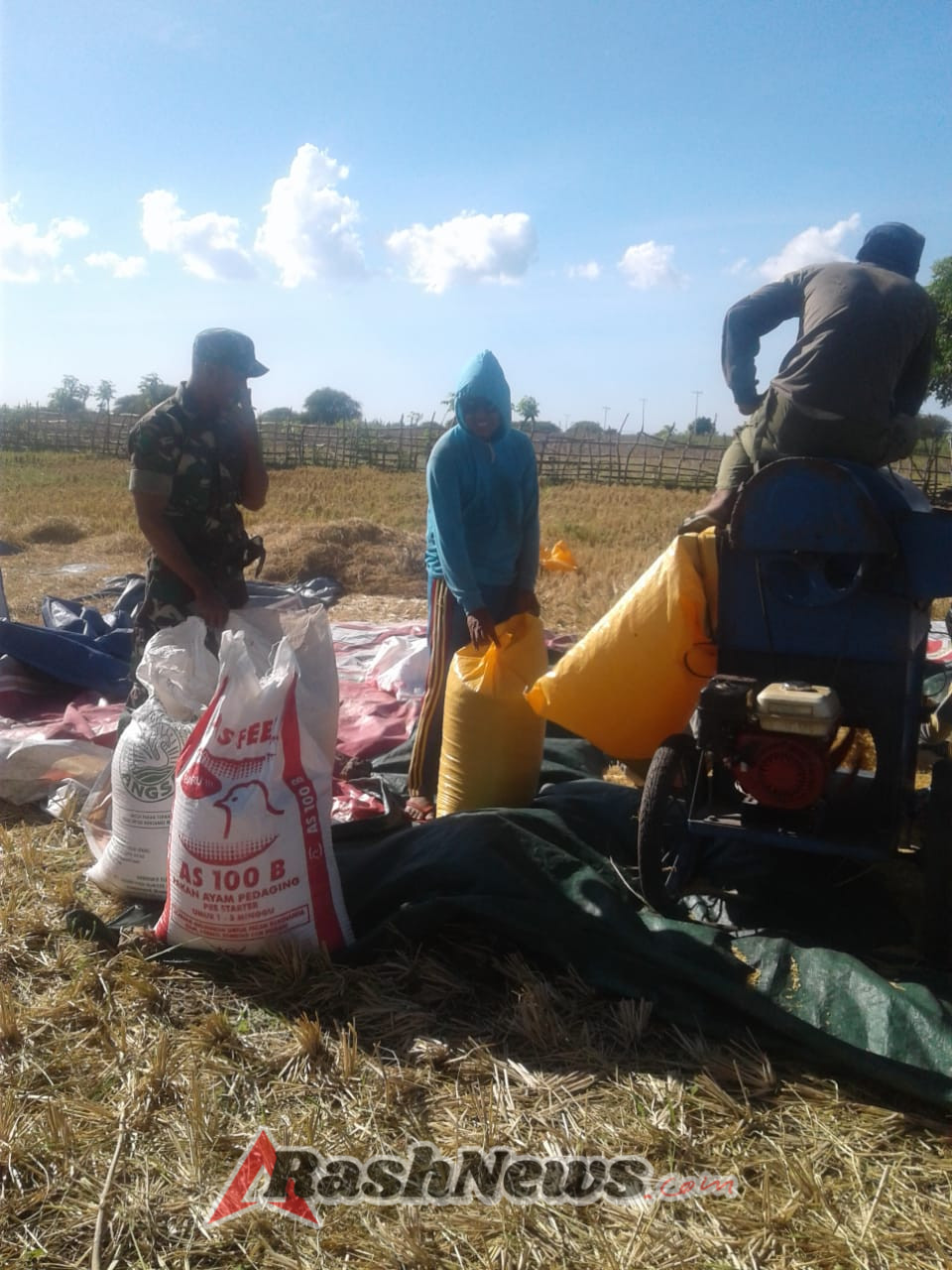 Babinsa Lobalain Ajak Petani Siapkan Lahan Menjelang Musim Tanam Baru