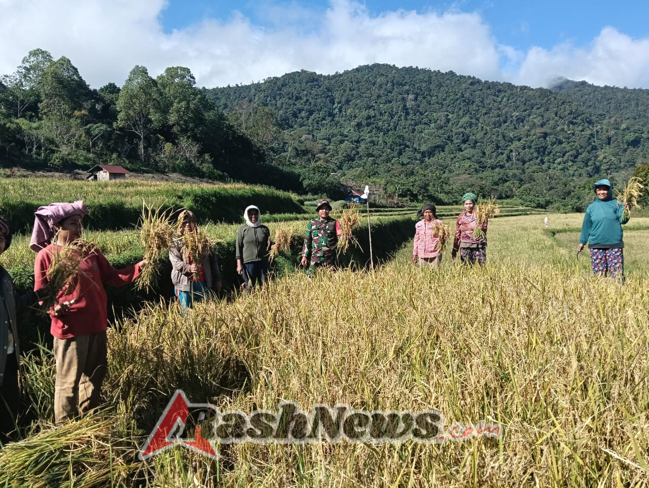 Kehadiran Babinsa di Sawah, Memotivasi Petani untuk Hasil Maksimal di Desa Kolang