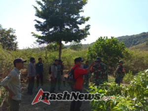 Posramil Tambora dan Koramil Donggo Intensifkan Pengawasan Hutan Nasional