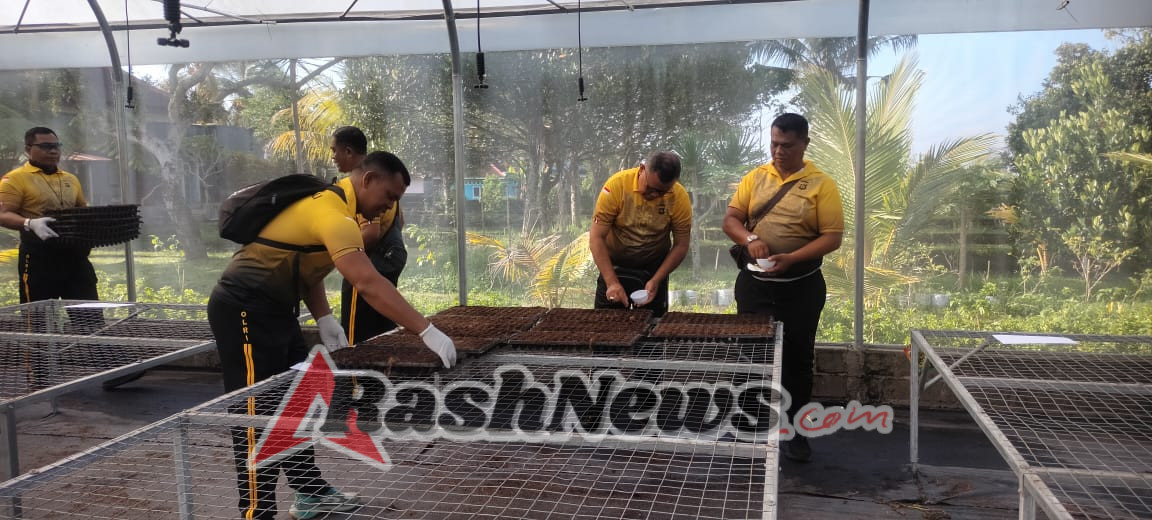 Kapolsek Tabanan Pimpin Penyemaian Bibit Cabai, Perkuat Program Ketahanan Pangan di Green House Presisi