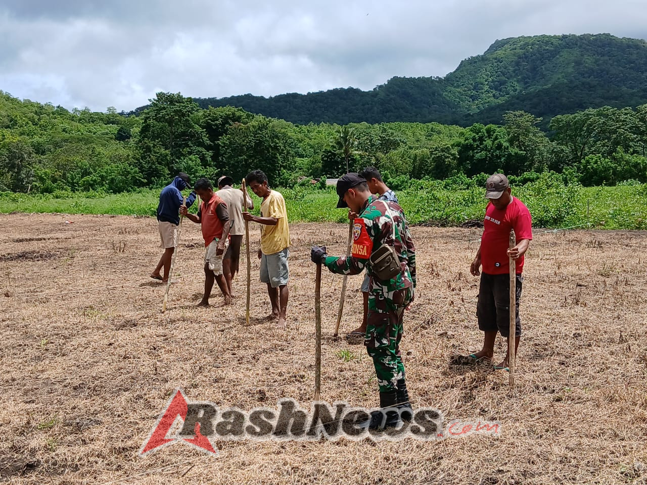Gotong Royong Babinsa dan Warga Binaan di Tabundung Tanam Benih Padi