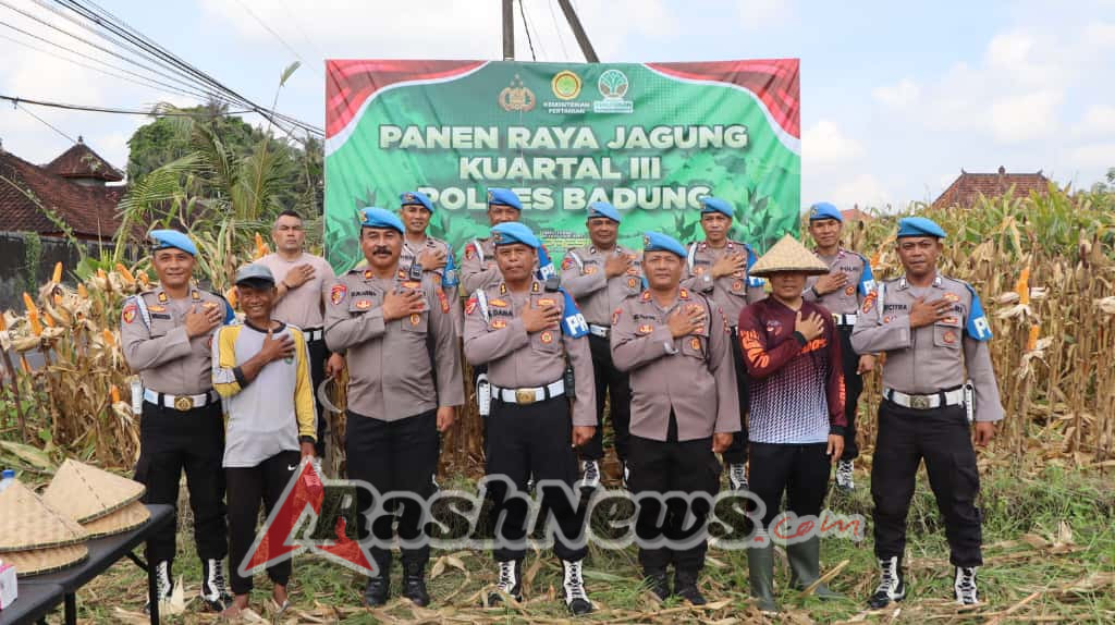 Bid Propam Polda Bali Bersama Sipropam Polres Badung Panen Jagung Kuartal III Dukung Swasembada Pangan 2025